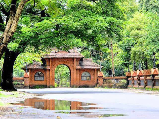 Category Image